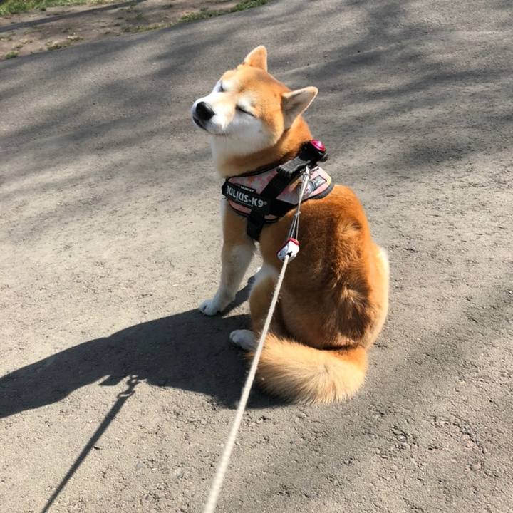 Bf4ce5e1 d773 44d9 bba5 a5a491235206 1558318626285