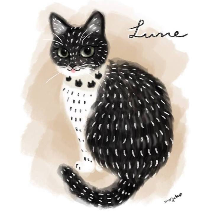 Bf4cf879 59b8 4306 9483 79d09dc8b01d 1571442254963