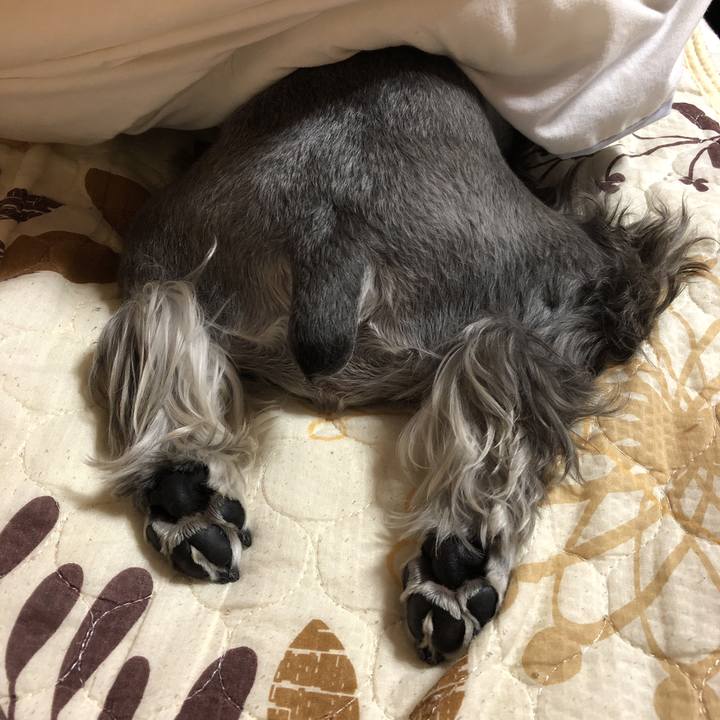 Bf4d2529 b2ec 4189 a87d b5eabbfa3bbf 1539438897744