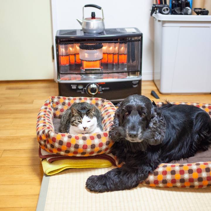 Bf4d2977 ff45 4468 91fe f7b36d40b816 1549469924753