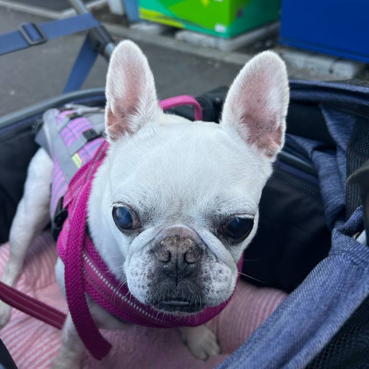 Bf4d467b eada 4f4f b32e 4f420b2f54c9 1731150905967