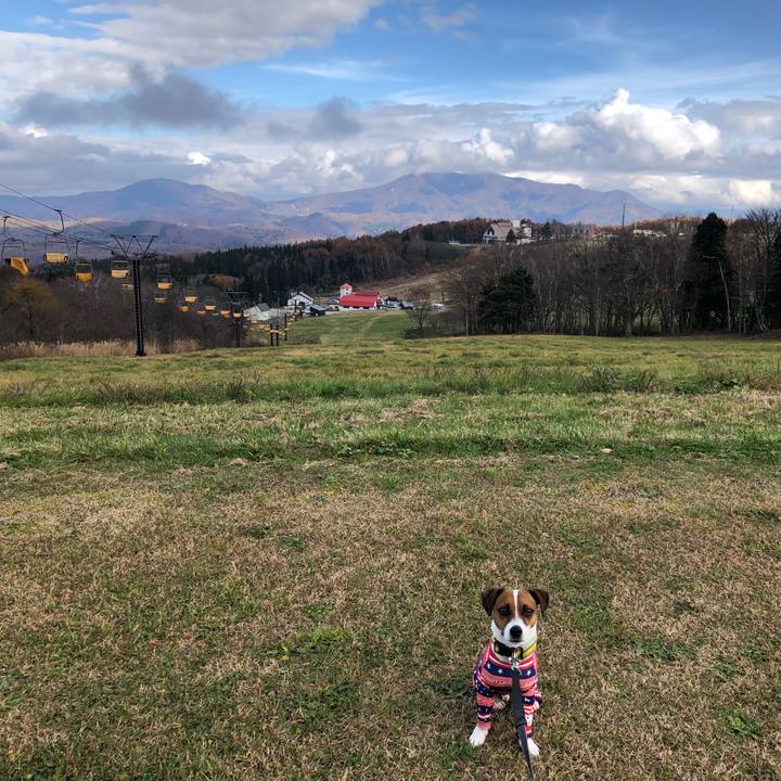 Bf4d4995 b3e2 43fc 95ac 88a55959a608 1542190840039