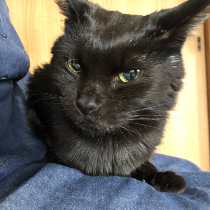 Bf4d5e91 a893 4c30 9099 bef8159e165b 1618699421328