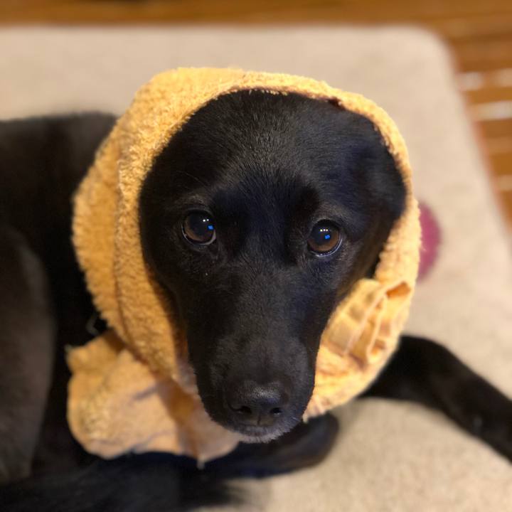 Bf4d617d 8337 43a5 a392 fb053875c1d3 1586788363835