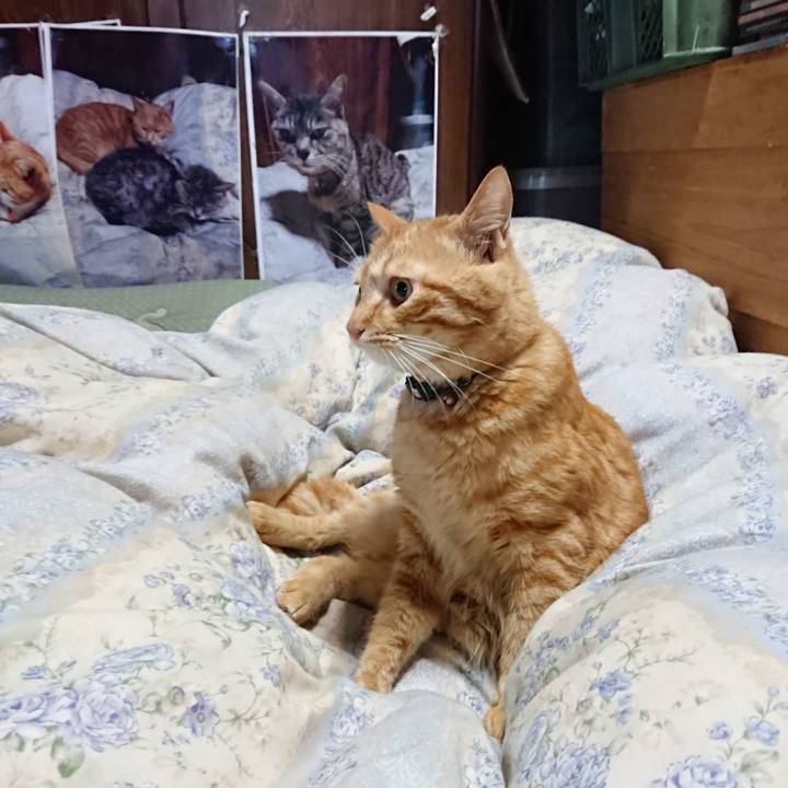 Bf4d644b 8d45 481d b64a a0a7590e1357 1659497414678