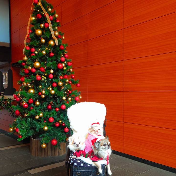 Bf4da240 4259 4494 8cdd f9e37ed2bb57 1640304960657