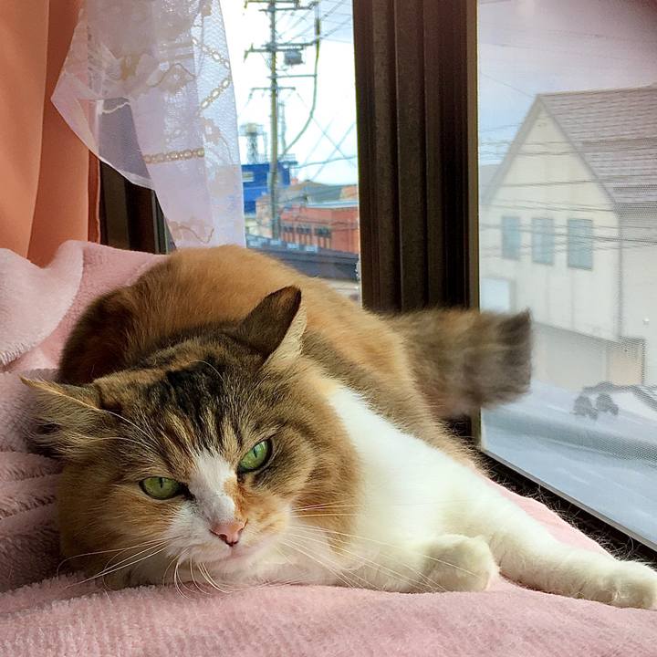 Bf4da952 41f3 4620 88fc f37345be2a14 1571898567241