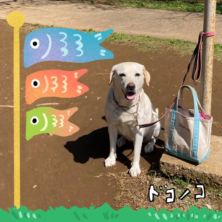 Bf4dd87e e18b 4407 811a e9b7d2d34c0c 1714895240028