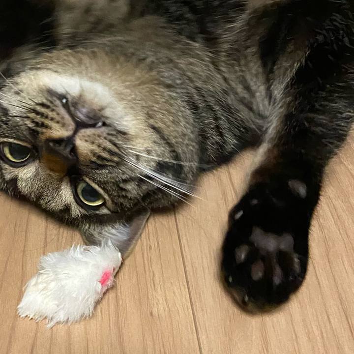 Bf4e1595 0372 4e81 974e 46a27ba35115 1701256210874