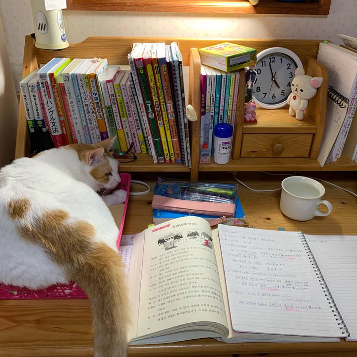 Bf4e32d9 8477 4da2 99ca cd2dff89d8a2 1634328112818