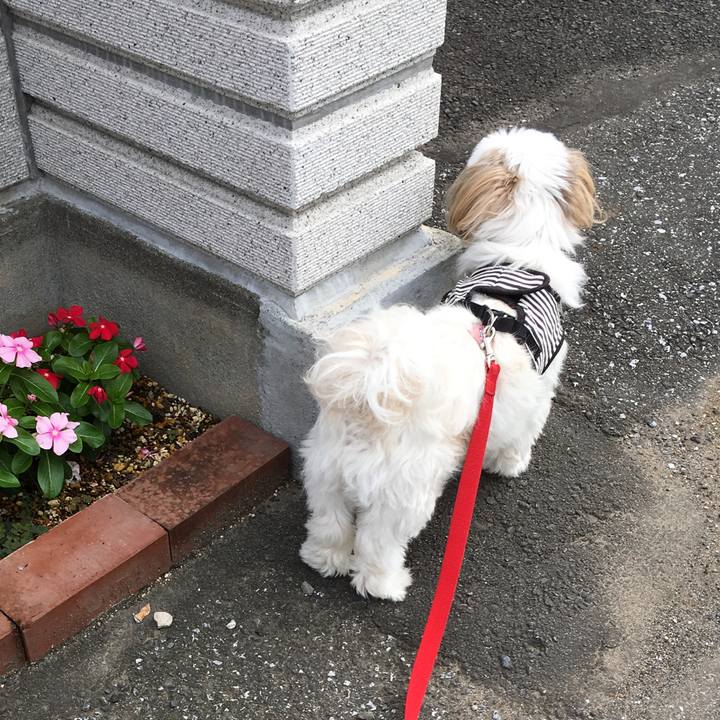 Bf4e4572 9d51 4954 9b64 c8a202f69cdf 1537414386177