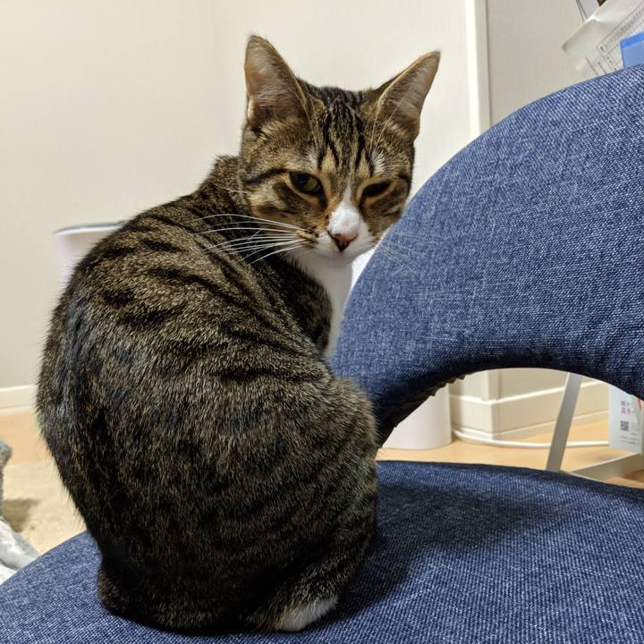 Bf4e86b3 c264 40da b89c a896fe2f0d81 1546438103799