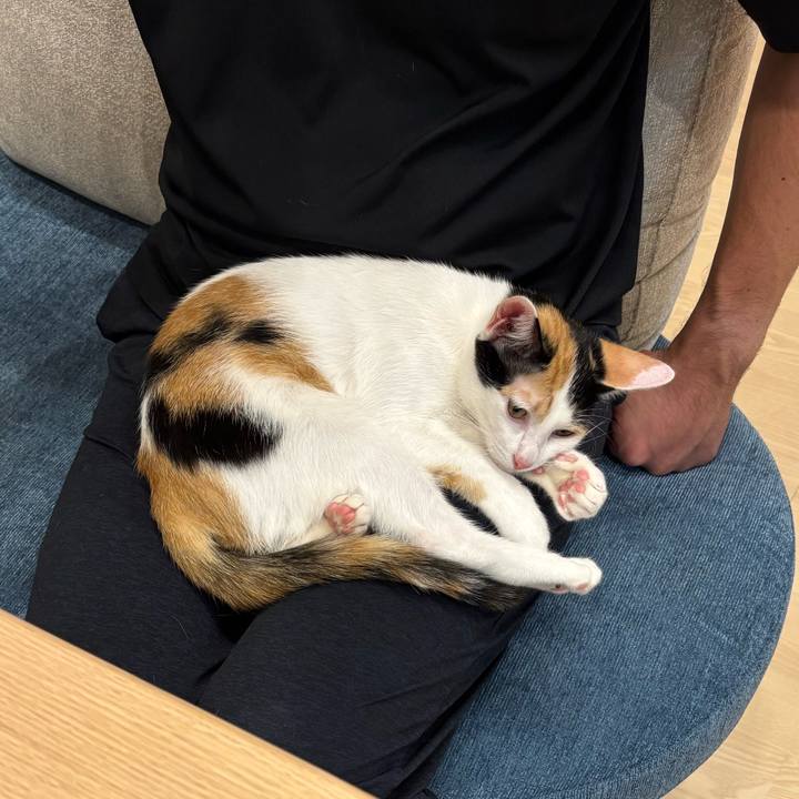 Bf4e8cd5 7fcf 4078 a276 f2733772a828 1757590975819