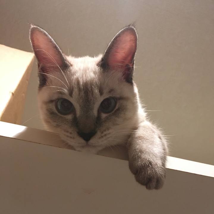 Bf4e9b16 f15b 4df5 8607 26aa94717128 1540566814199