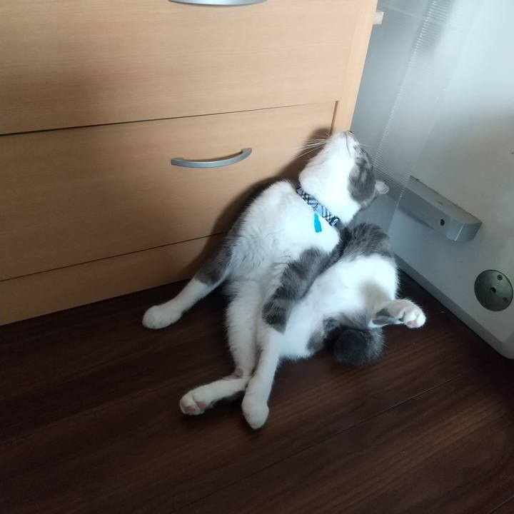 Bf4eb80a d6cb 49e7 8071 06c2d5836246 1600823680571