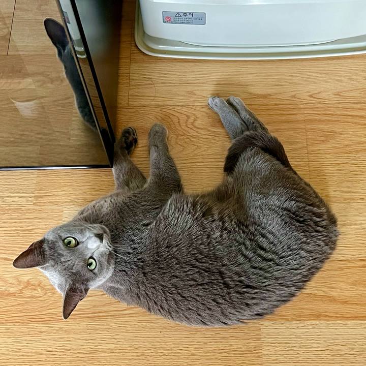 Bf4eb872 ab60 46d2 aece 82667d054172 1676864097707