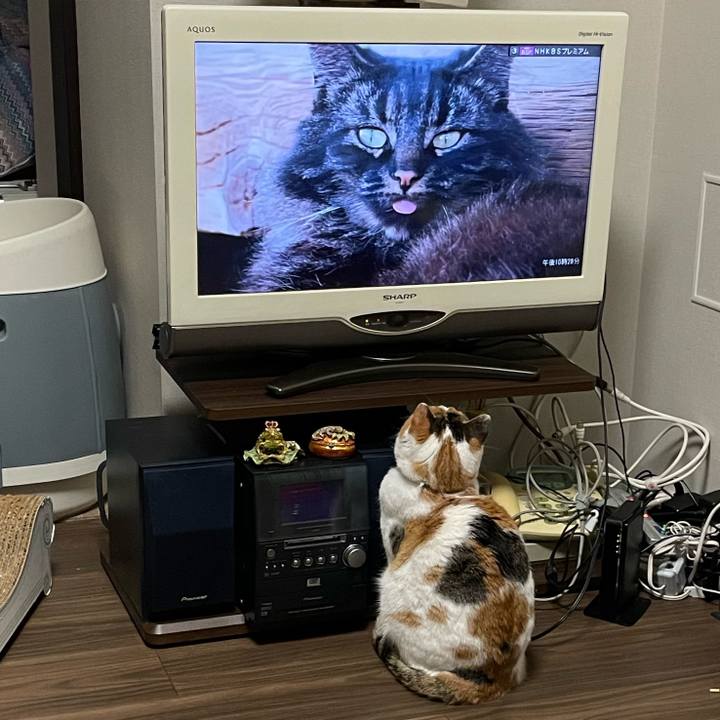 Bf4eb896 2e71 4dd4 bee9 b5f31a703d43 1644932023717