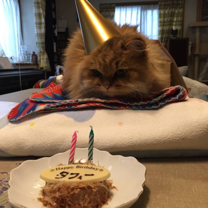 Bf4ebb59 b4e9 464f 8772 cd9919f3520c 1509170894079