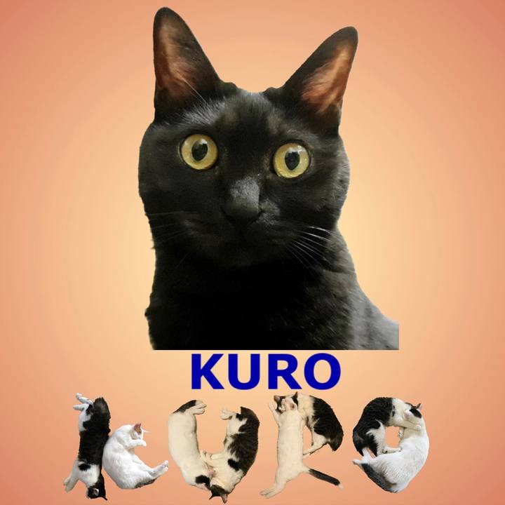 Bf4ec547 7a5b 46aa a984 d87fdf3ad71a 1668692189801