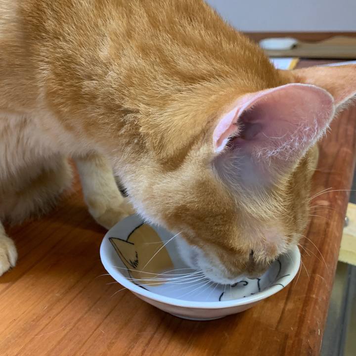 Bf4ede24 9f3a 4265 a985 f076766156d6 1663843483190