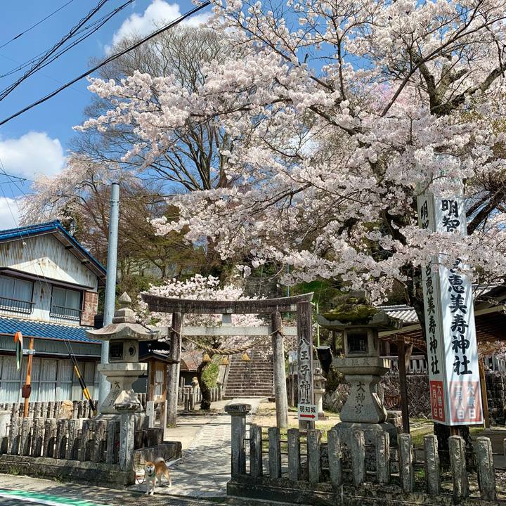 Bf4f6512 82ec 46af 8fbf 7932cbd1ce6a 1649500047681