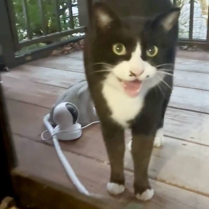 Bf4fc2cc 7470 4e22 a98e c5d96f1b8ced 1767001879915