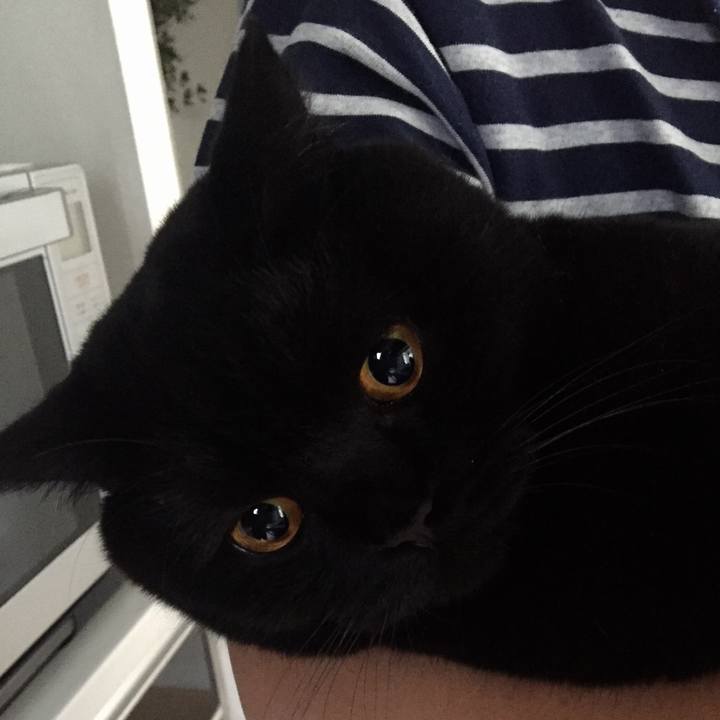 Bf4fd0b5 329b 4012 a5ea 53d808e1314e 1536616551436