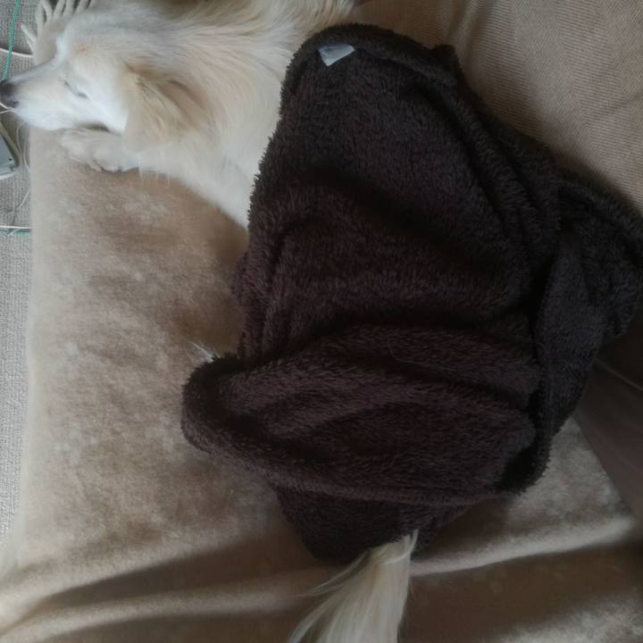 Bf5024e3 89cb 444f b96b 99b4625d9a34 1510820264118