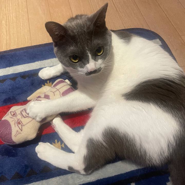 Bf5032fa f454 49eb 866d 103dd36d4c2d 1632911678877