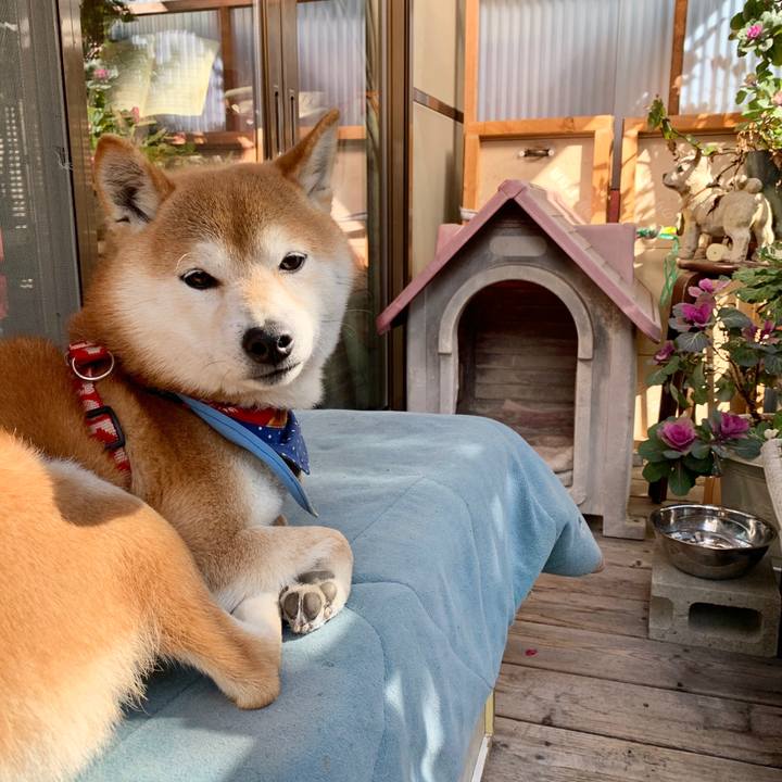 Bf505041 f1da 4a83 b760 4a3b7475887f 1580811651032