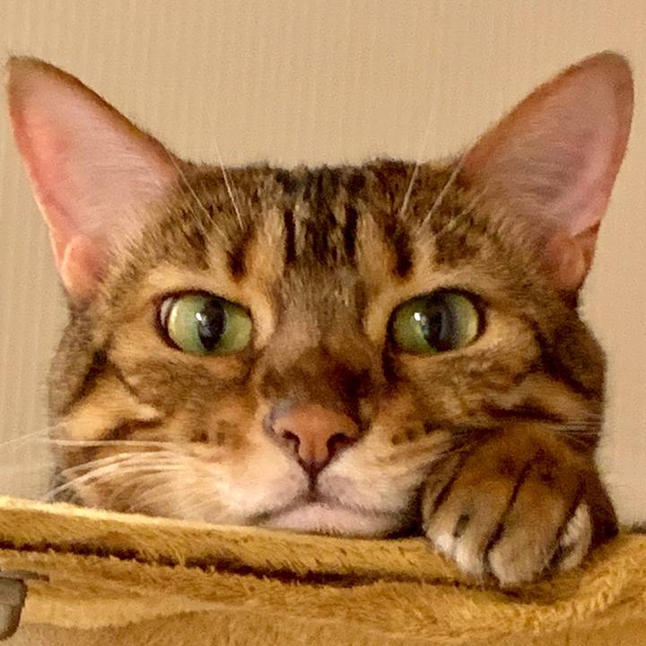 Bf505322 00cb 43e0 97d4 6b8ba6a88763 1565394871184