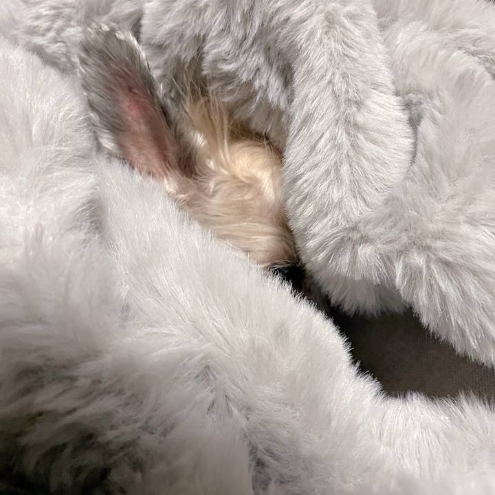 Bf50982d a58e 4b7b 9059 1fe22de07088 1769339936195