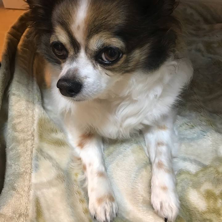 Bf509b25 3c59 443c ac99 b659902d4fbe 1652542706260