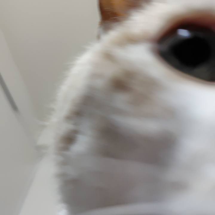 Bf50a645 61b4 4786 9b9e a2d379f2cc7b 1737761684682