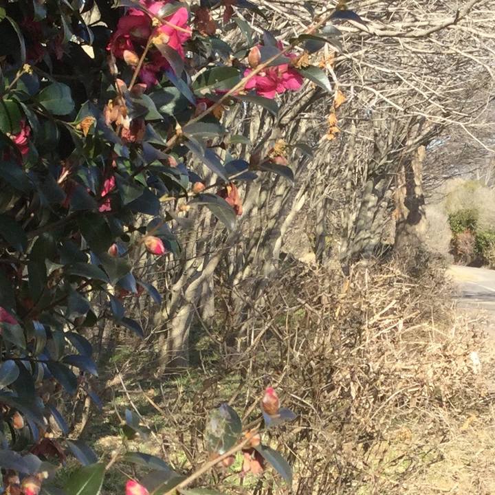 Bf50c1b2 ba40 4858 8342 6a90ce62365d 1609731406429