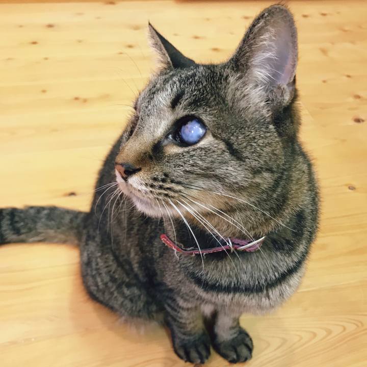 Bf50c1fa 3ace 4e1c 93ea 702df9f02a29 1521204761625