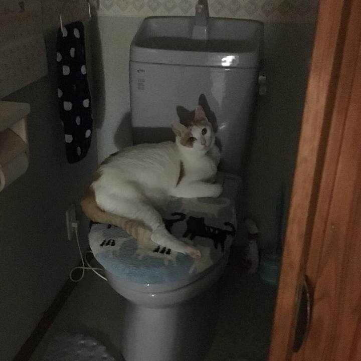 Bf50c6d4 438c 4901 a608 d7955e984fb1 1530893378561