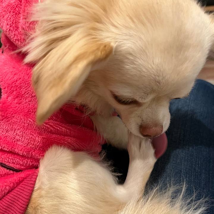 Bf50f3ab f637 4fd8 abb5 b3705b8991ec 1731243053004