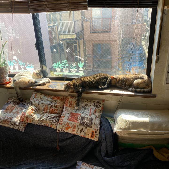 Bf511df6 9aa1 421e bde6 1154fe14bcb1 1644374652270