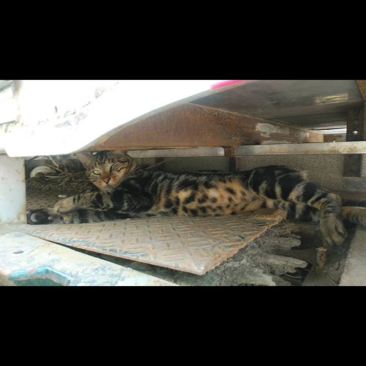 Bf5121d3 c477 412d ad0a 879a32b0a265 1596759697049