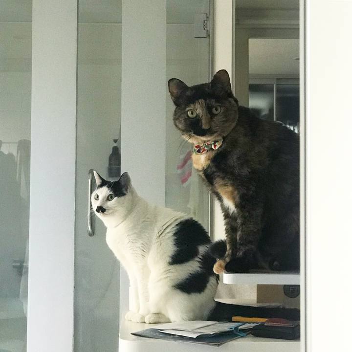 Bf515359 84ca 4f58 a7d3 c2f9d1a38ea2 1512181963190