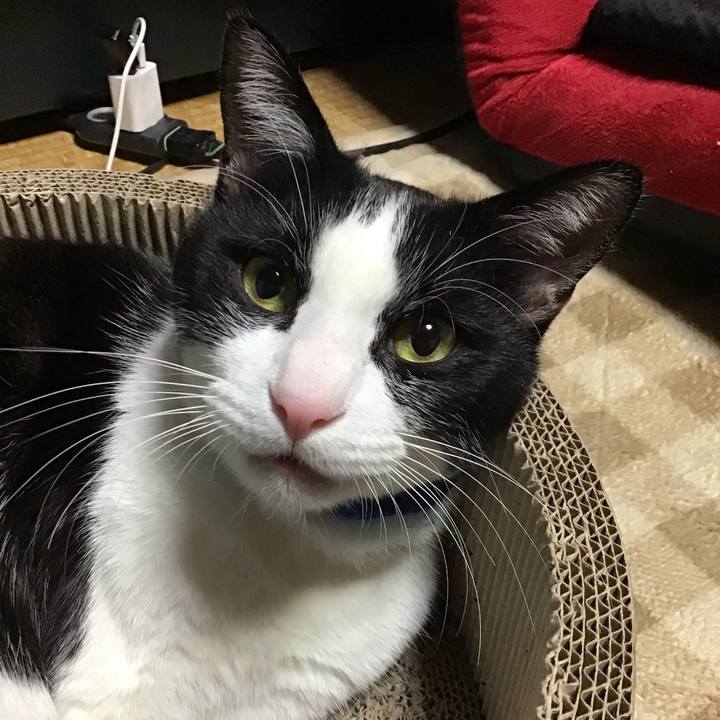 Bf516e90 6e43 4aa5 a5fa 308251401471 1702462619250