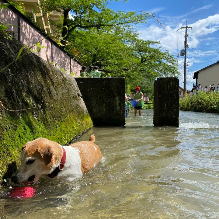 Bf51a407 4b49 4168 9a7f 3f1ce871701c 1626504201657