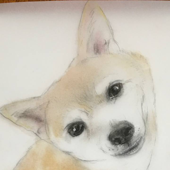 Bf51bfb4 e7cf 4824 823f 2e05df05fcac 1630541235841