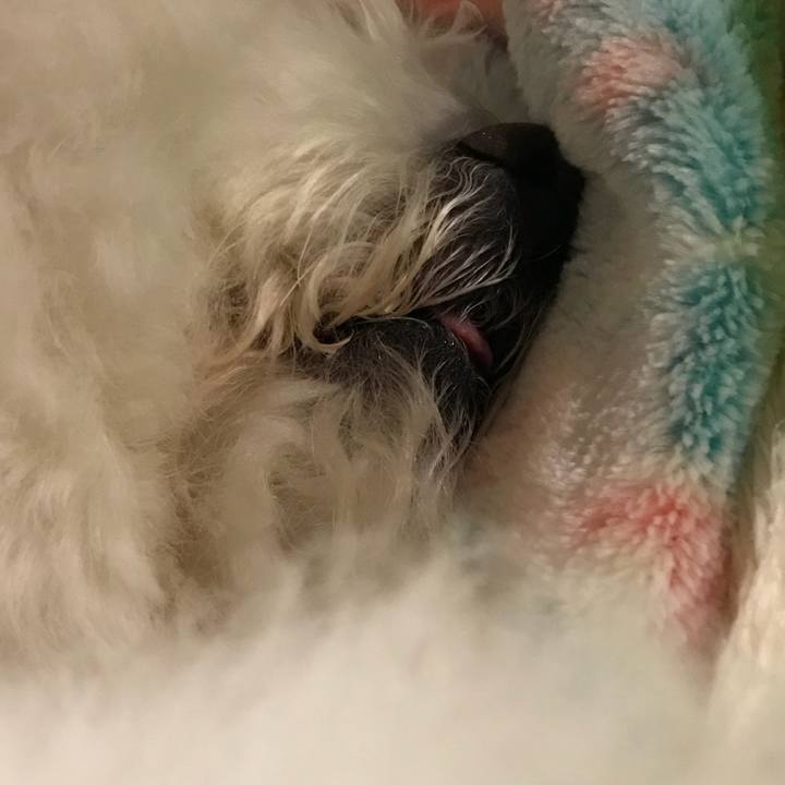 Bf522ef7 5bbb 40c6 a1b4 68f5b3dcf510 1547472045728