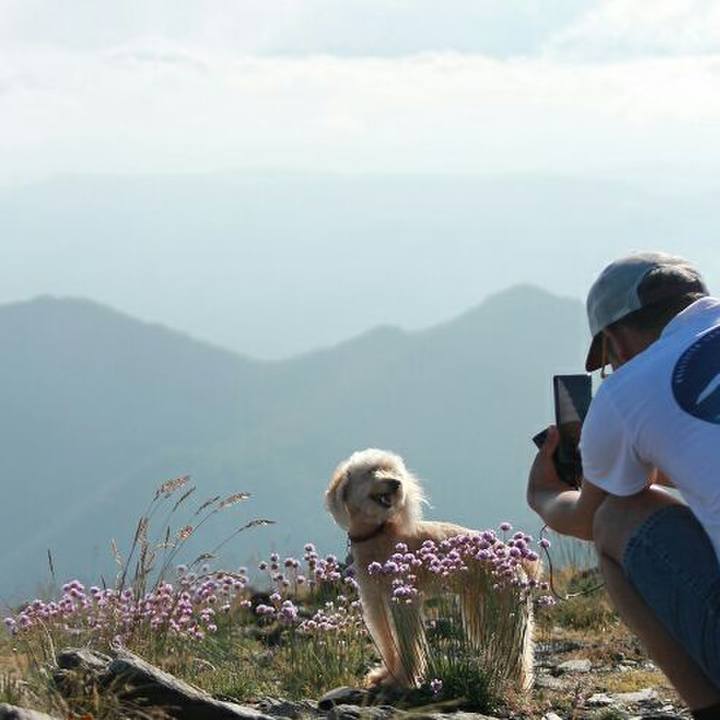 Bf52609f e34a 4a56 aaec 82a3805077c3 1591886864077