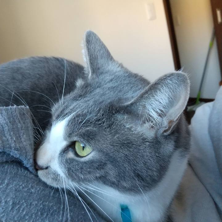 Bf52b387 dcc7 4287 b0f3 4822d7621617 1641615775461