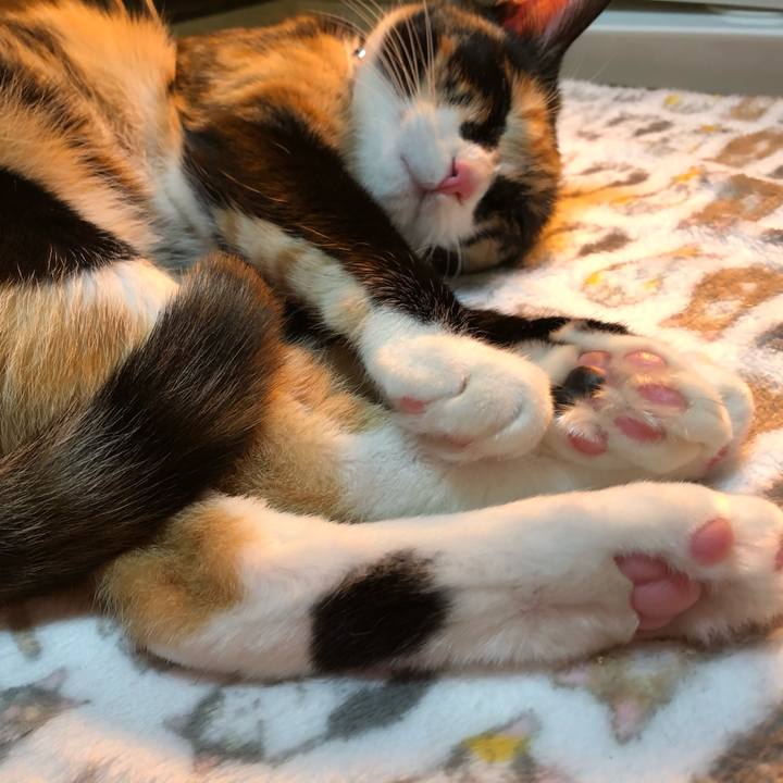 Bf52ba3d 2f62 49a3 9965 6de510dd814d 1580204060622