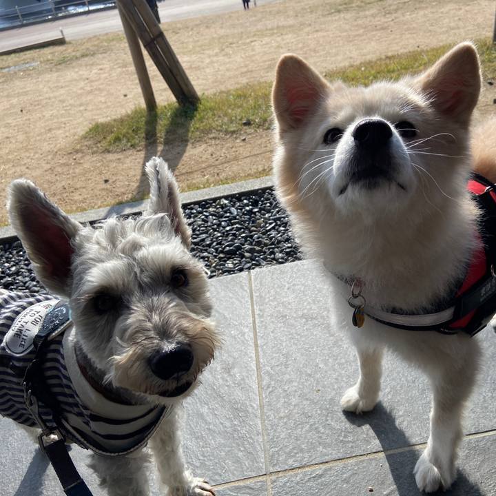 Bf52dad7 4a28 45e6 8db7 10409d1fc7c7 1668836049086