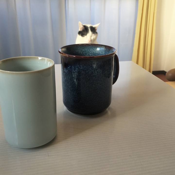 Bf52e652 573a 4d72 bb59 f065d61da8e5 1578192607295